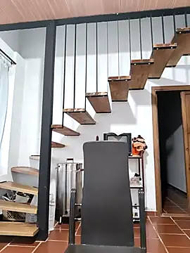 Hiroshi Shen online show from November 17, 2025, 11:27 am