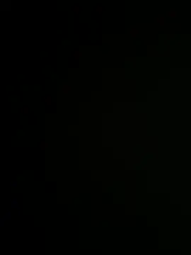 Bray9031 online show from December 19, 2025, 4:58 pm