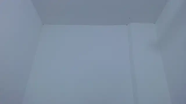 Snapshot of carolina_zabala_19 chatting on December 17, 2025, 7:20 pm carolina zabala 19 online show from December 17, 2025, 7:20 pm