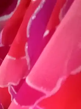 kittu0987 online show from February 9, 2026, 5:00 am