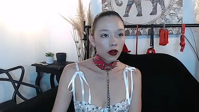 Doll4anall online show from February 21, 2026, 6:53 pm