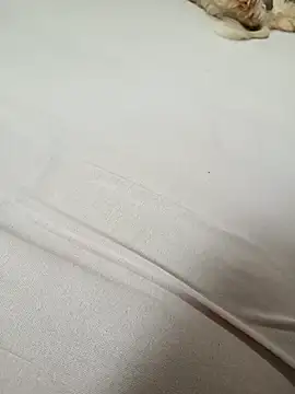 SIGILOCUIABA online show from January 17, 2026, 1:49 pm