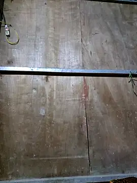 yoowwmr online show from October 23, 2025, 12:48 pm