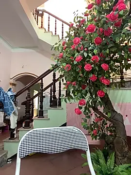 Bollozzy 89 online show from September 24, 2025, 4:49 am