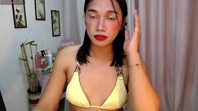 Herbielustts online show from December 16, 2025, 5:51 pm