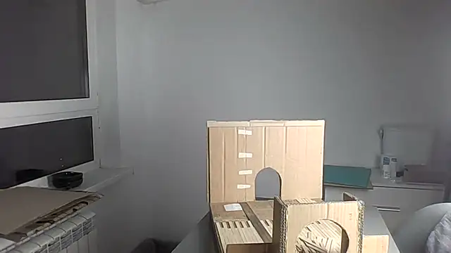 Qaynii online show from October 21, 2025, 2:40 pm