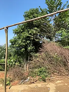 ThiHa003 online show from November 27, 2025, 3:52 am