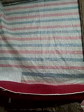 Many lize online show from November 9, 2025, 11:03 pm