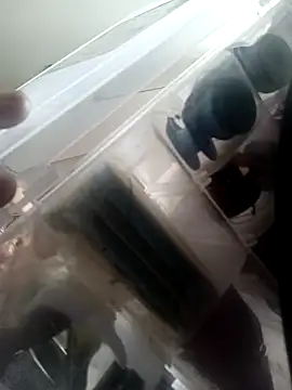 Isabella5 Brown  online show from October 7, 2025, 2:36 pm