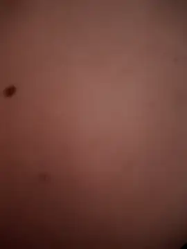 TuryxXx online show from December 13, 2024, 2:05 pm