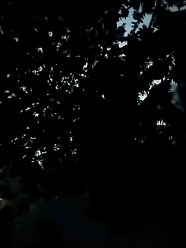 Girls pussy rider online show from November 24, 2025, 12:38 pm