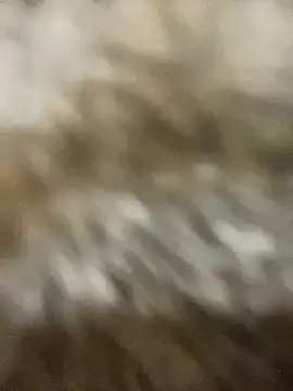 Sayhi xo online show from September 27, 2025, 9:25 am