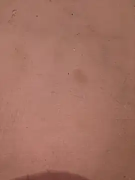 Snapshot of sakshi5533 chatting on November 28, 2025, 7:27 pm sakshi5533 online show from November 28, 2025, 7:27 pm