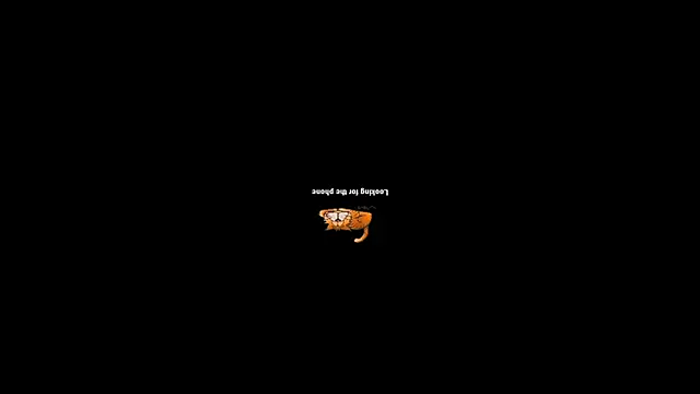 pecsblack888 online show from September 29, 2025, 6:46 pm