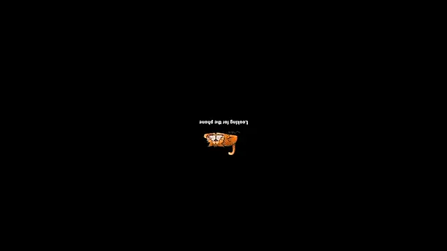 pecsblack888 online show from October 2, 2025, 6:26 pm