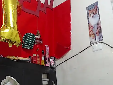 Npga96 online show from February 20, 2026, 6:59 am