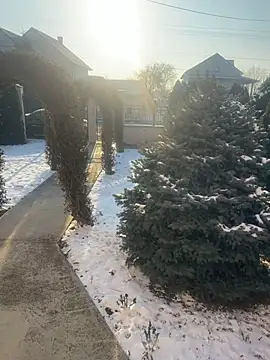 Michel huge online show from January 18, 2026, 7:56 am