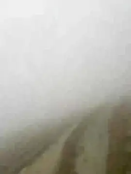 Phayphay77 online show from January 15, 2026, 8:08 am