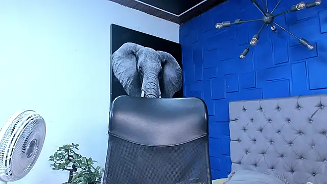 andres-clark92 online show from October 26, 2025, 6:14 pm