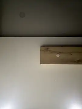 ALANNFERRER online show from September 10, 2025, 9:31 am