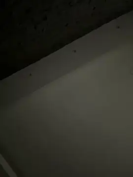 ALANNFERRER online show from October 4, 2025, 9:40 am