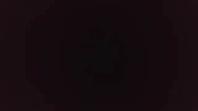 katieforest online show from October 29, 2025, 3:42 am