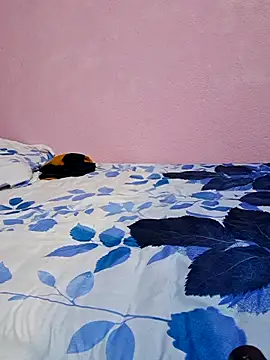 tharki-anand online show from February 27, 2026, 6:52 pm