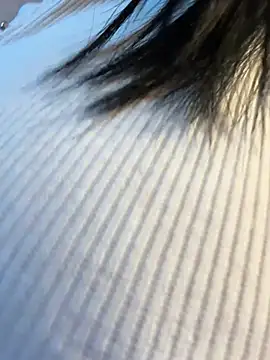 TriumphLove online show from April 18, 2026, 6:39 am