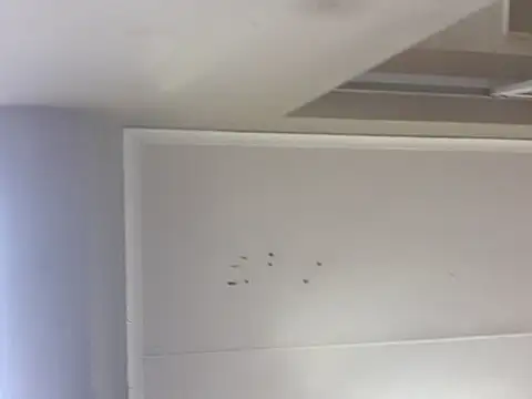 Snapshot of sex-machanic chatting on November 28, 2025, 3:31 am sex-machanic online show from November 28, 2025, 3:31 am