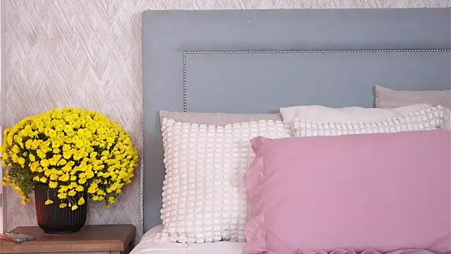 Sofy Bradd online show from November 8, 2025, 8:36 am