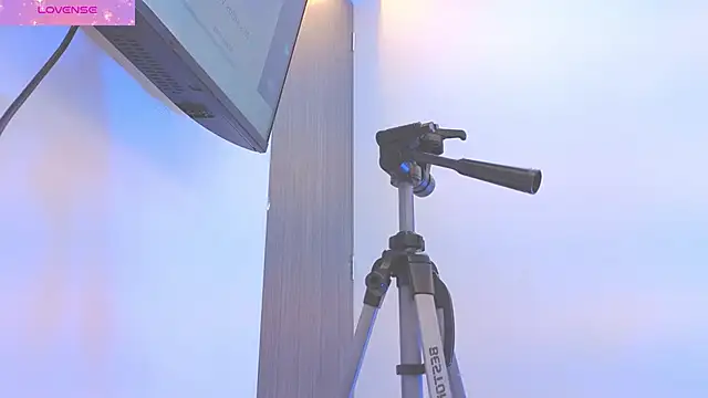 Daisy Price online show from March 18, 2026, 11:02 am