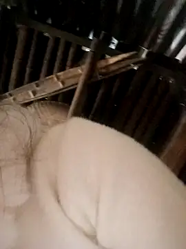 Bianly online show from November 15, 2025, 2:31 am