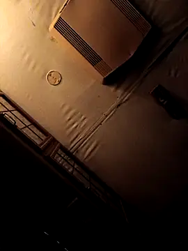 ShawnandDani7074 online show from February 4, 2026, 5:46 am