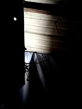 ShawnandDani7074 online show from April 14, 2026, 7:47 am