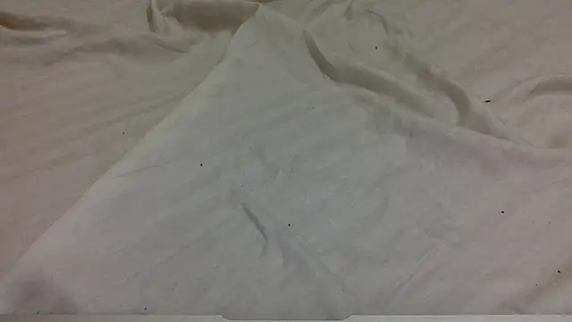 tutu101 online show from January 15, 2026, 12:54 pm