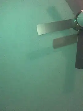 Triggerhappycj100 online show from October 24, 2025, 4:20 am