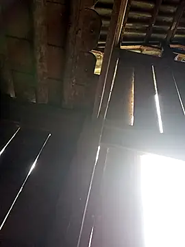 Mamapm20 online show from September 19, 2025, 12:23 am