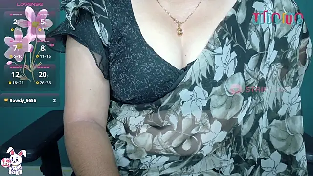 megHana teLugGu online show from January 13, 2026, 8:36 pm