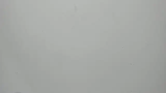 invincible200 online show from September 15, 2025, 1:55 pm