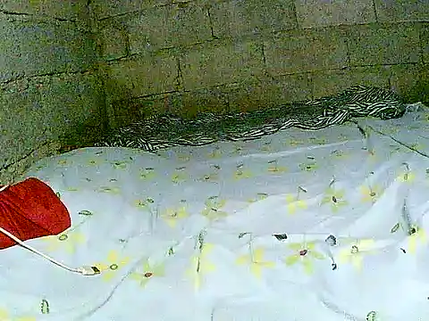 hotmom pinay online show from December 1, 2025, 2:05 am