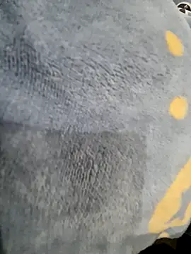 Boyshow88 online show from February 3, 2026, 3:17 pm