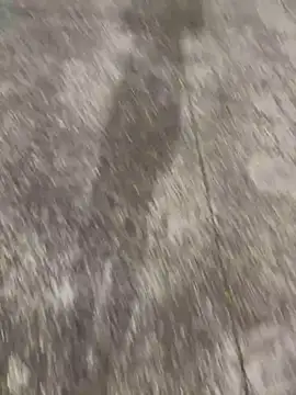 Foxfoxfox4 online show from November 28, 2025, 1:03 pm