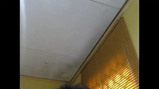 NawtyLisa online show from March 3, 2026, 2:01 pm