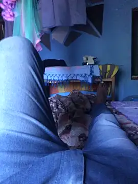 m11a2f3a4z5 online show from March 29, 2026, 10:15 am