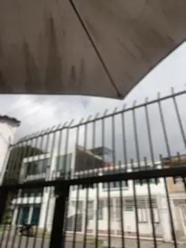 Sallem Pink online show from April 1, 2026, 1:41 pm