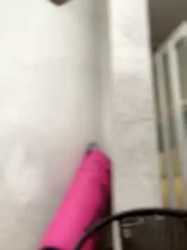 Sallem Pink online show from April 8, 2026, 11:10 am