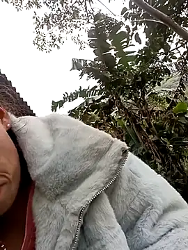 optra34 online show from December 15, 2025, 2:16 am