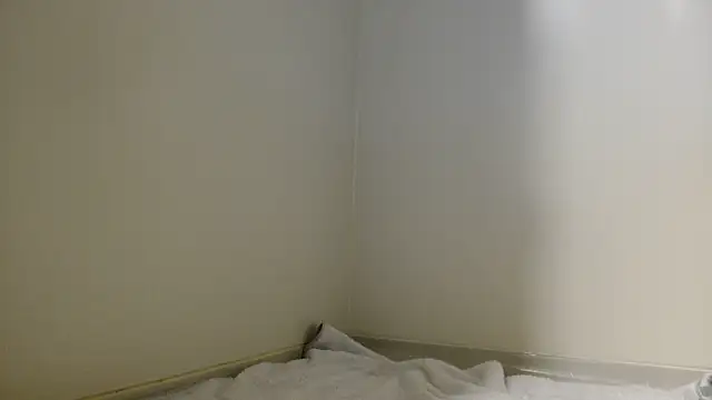 shint-11 online show from October 19, 2025, 11:44 am