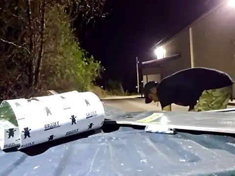 sloppytopkins online show from April 11, 2026, 6:07 am