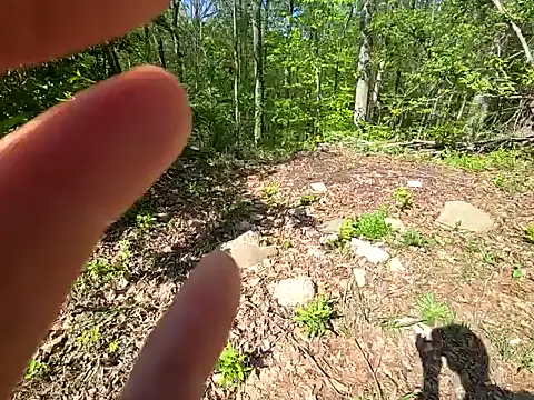 sloppytopkins online show from April 20, 2026, 2:42 pm